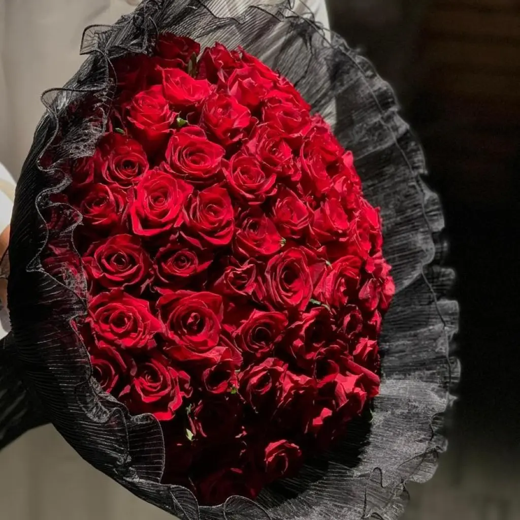 جوري احمر 3